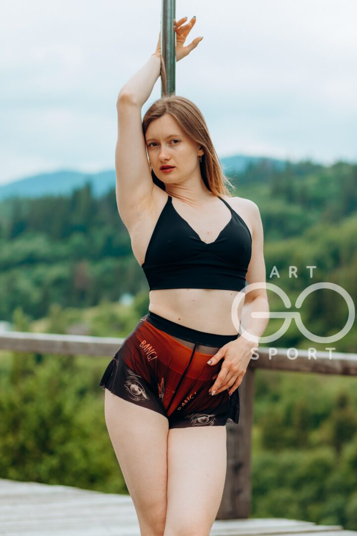 ArtGo-165 комплект pole dance для майстер-класу