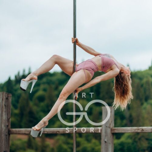 ArtGo-49 pole dance топ для сцени